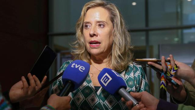 La ya exconsejera de Transición Ecológica, Industria y Comercio, Belarmina Díaz, el pasado 7 de abril en Oviedo.