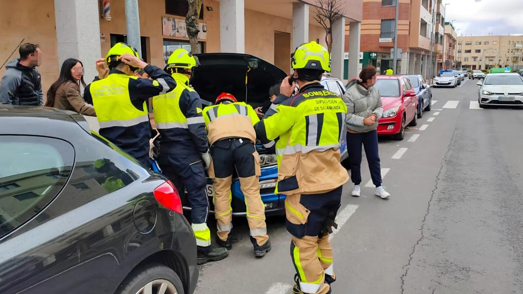 Bomberos de la Diputación de Salamanca realizando las labores de rescate del gato