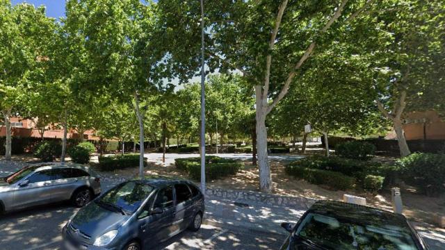 Parque del Alamín situado en la avenida de Barcelona de Guadalajara, donde ocurrió el crimen.