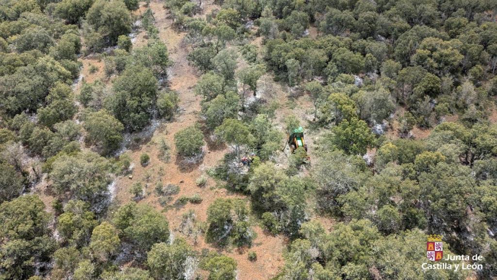 El paraje en el que ha sufrido un corte con una motosierra
