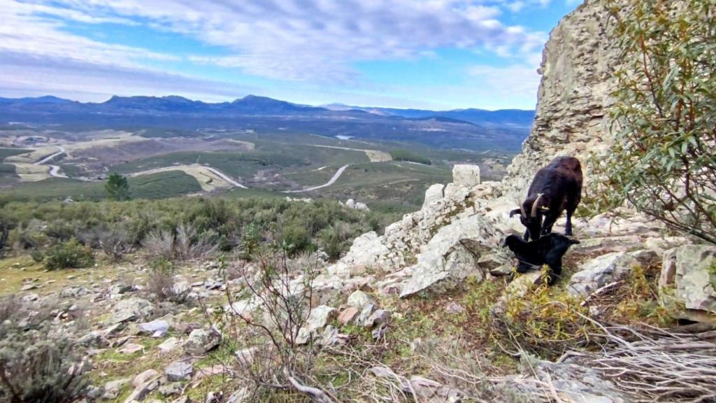 Zona en la que pastorea Clara con sus cabras.