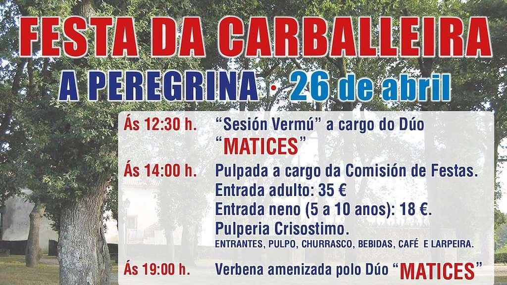 Cartel de la Fiesta de la Carballeira.