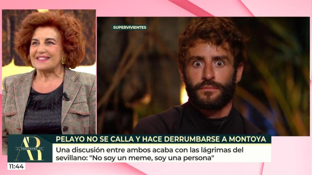 Elena Zapico viendo imágenes de Pelayo Díaz en 'El programa de Ana Rosa'.