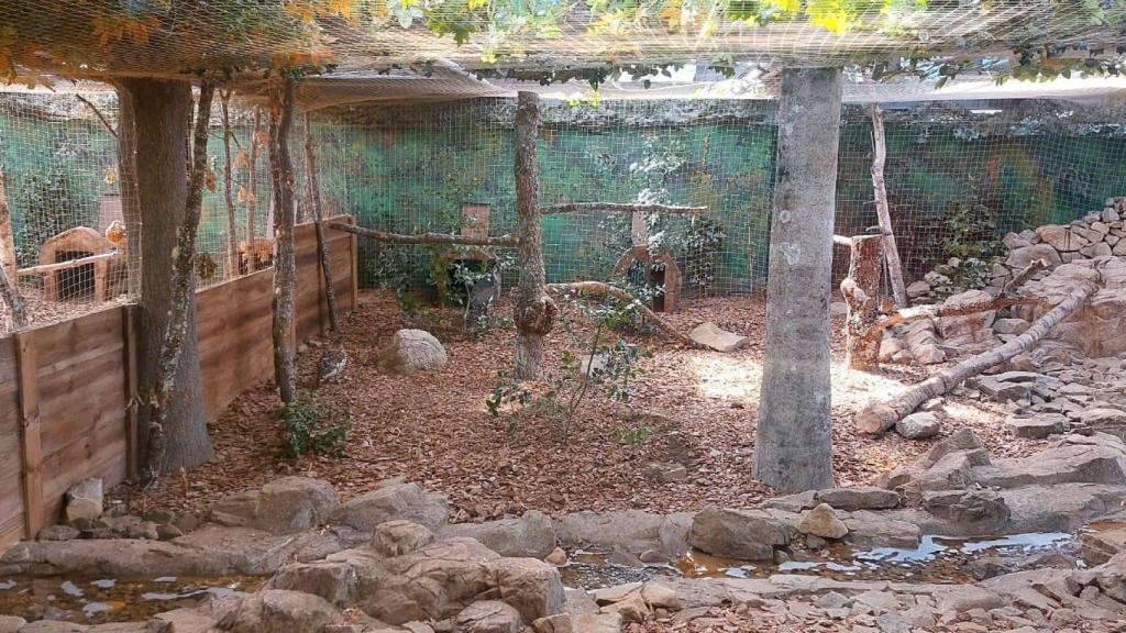 Nuevos hábitats del hogar del urogallo en la provincia de León