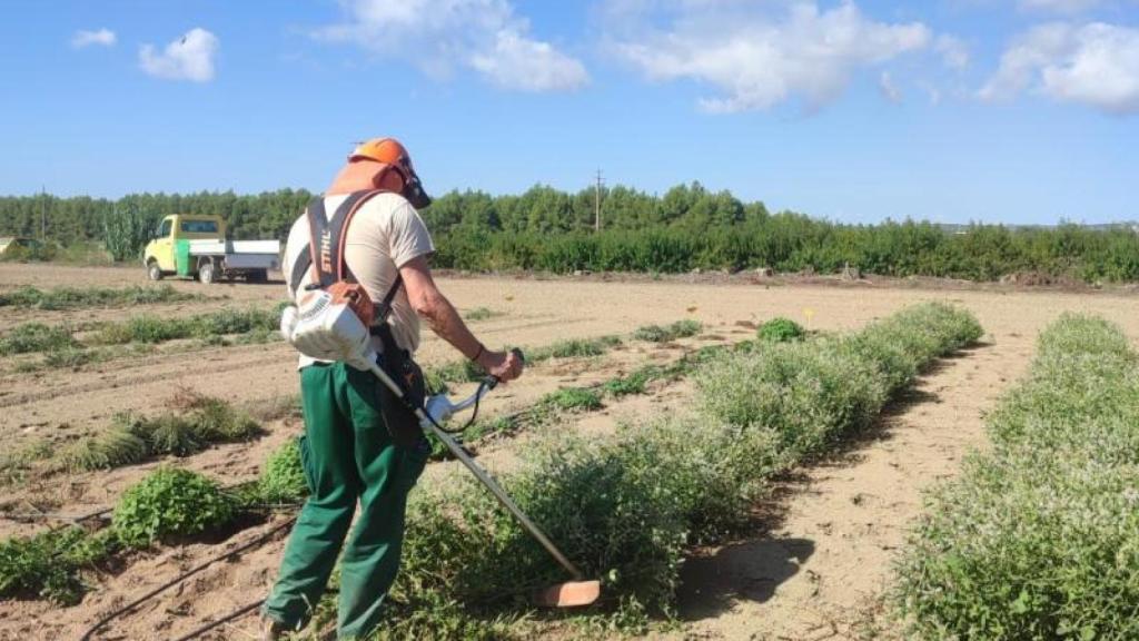 Explotación agrícola