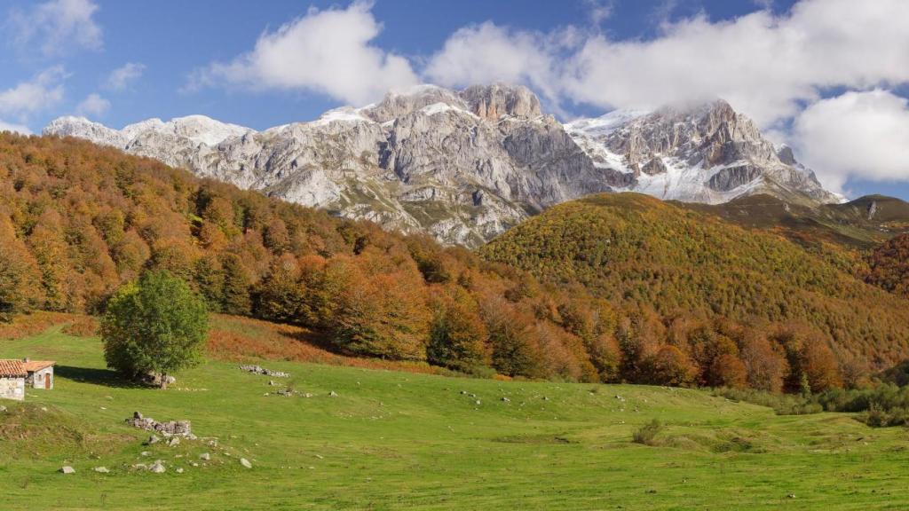 Hayedo de Cuesta Fría