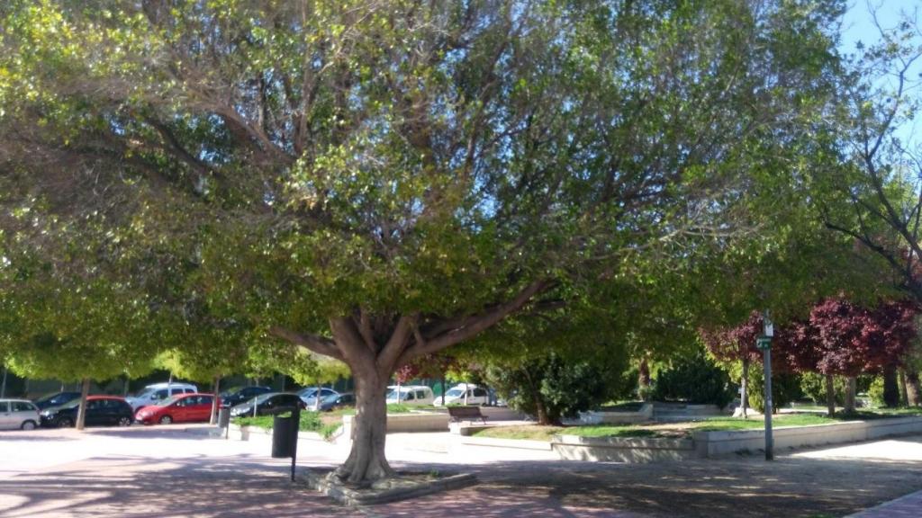 La Plaza de la Cruz Roja de Alicante, donde ocurrieron los hechos el pasado viernes.