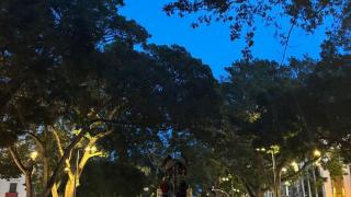 Una imagen de la banda.