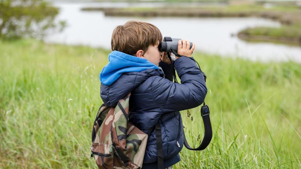 Imagen de archivo de un niño avistando aves.