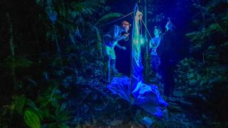 Cómo descubrí dos nuevas especies animales de vacaciones en la selva de Borneo sin tener ni idea de ciencia