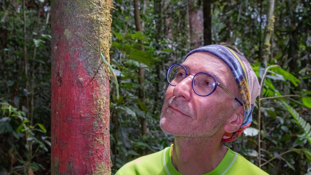 Menno Schilthuizen observa detenidamente un insecto palo.
