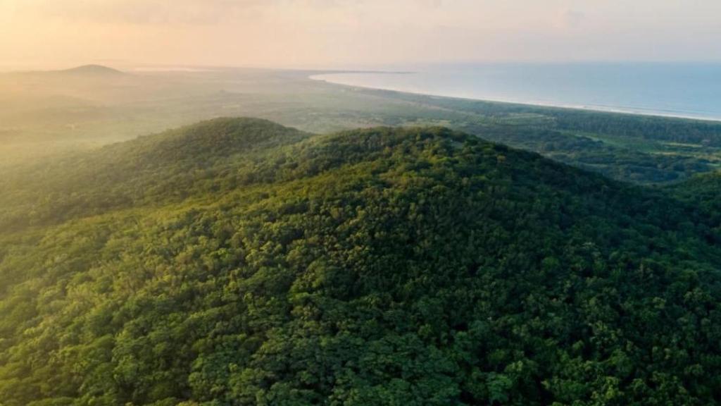 El lugar donde el actor y su mujer tienen una casa en Jalisco, México, cuenta con un 1.200 hectáreas de terreno.