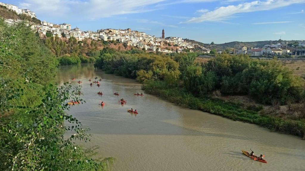 El Guadalquivir, a su paso por Montoro.