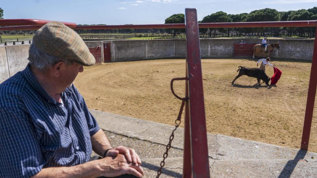 Tienta en la ganadería El Raso de Portillo