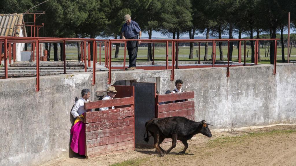 Los hermanos Íñigo y Mauricio Gamazo, responsables de la ganadería El Raso de Portillo durante una tienta