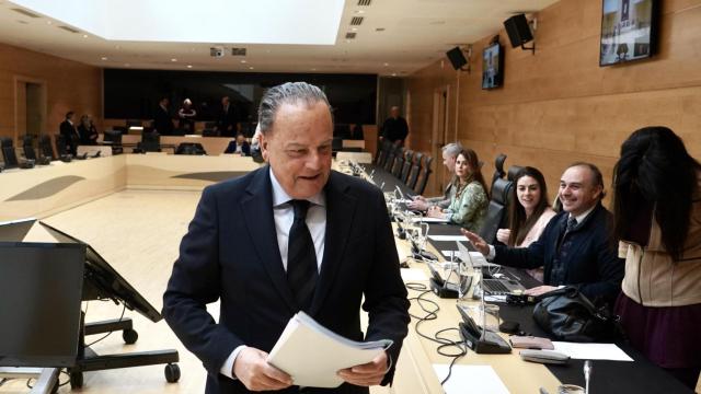El presidente del Consejo de Cuentas, Mario Amilivia, durante su comparecencia en las Cortes, este lunes