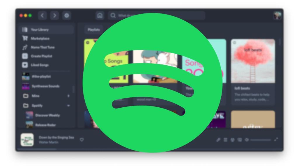 Captura de Spicetify con el logotipo de Spotify