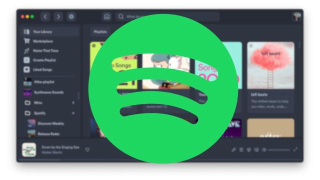 Captura de Spicetify con el logotipo de Spotify