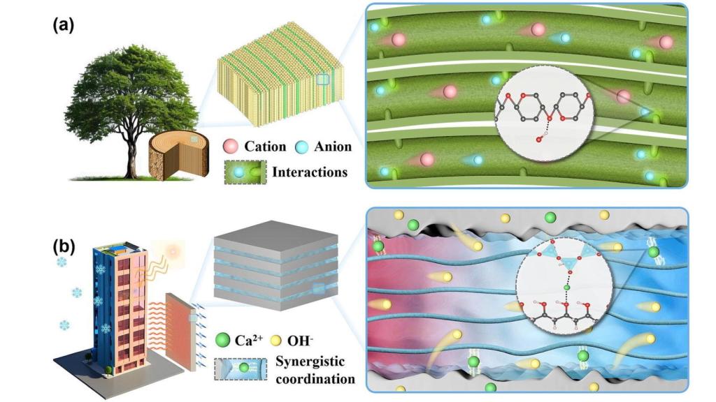 Esquema del nuevo cemento que genera y almacena electricidad.
