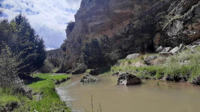 Hoces el río Mesa.