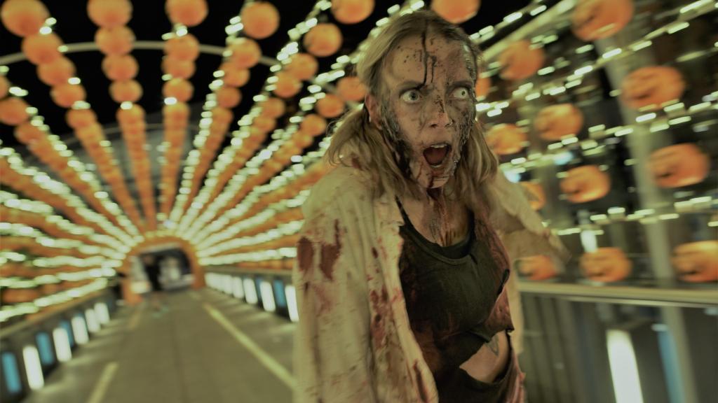 Imagen de la experiencia Survival Zombie