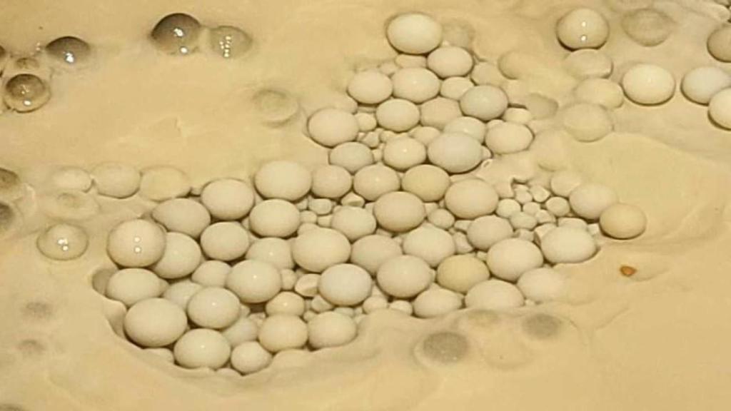 Perlas de las cavernas localizadas en una de las exploraciones a la Cueva de Aradelas