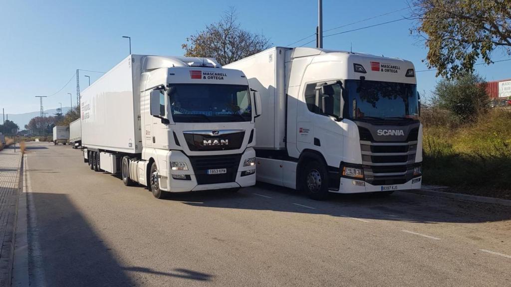 Mascarell Ortega cuenta con una flota de 20 camiones con Alemania como principal mercado.