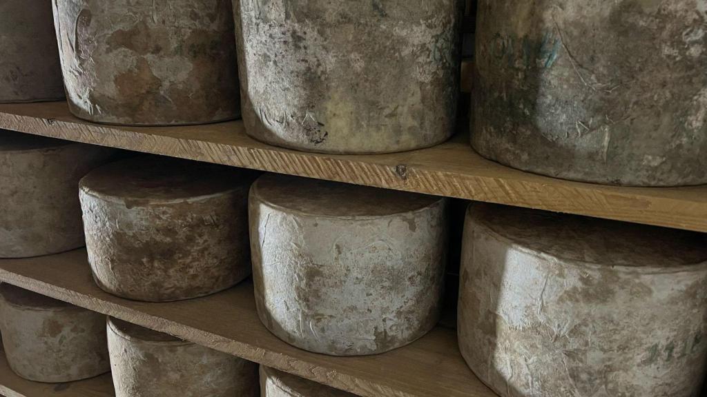 Los quesos de Cantagrullas