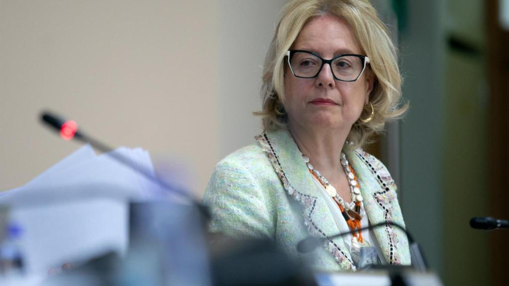 La directora xeral de Planificación e Reforma Sanitaria, Sofía López