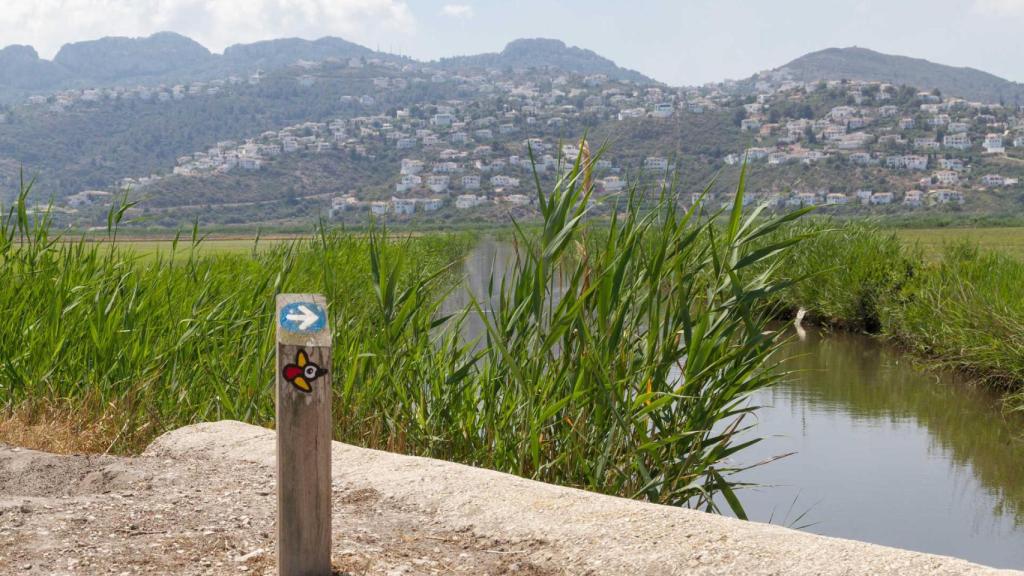 El parque de Marjal de Pego-Oliva.