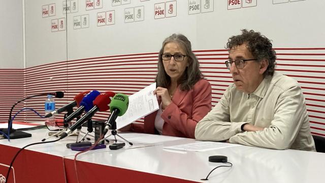 Los diputados del PSOE por Ávila María del Carmen Iglesias y Raúl Blanco