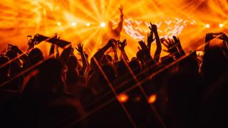 Imagen de archivo de una verbena