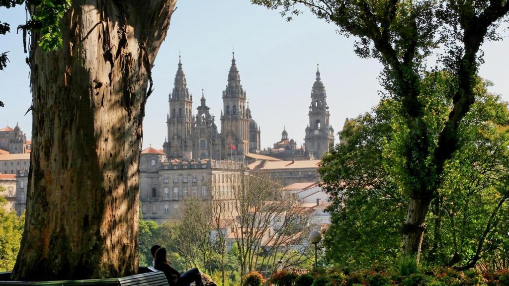 Las vistas a la Catedral desde el banco del 'Árbol dos Namorados'.