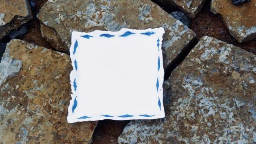 Plato con detalles azules.