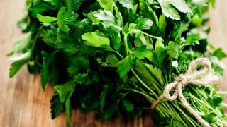 Captura de pantalla 2025-04-23 121232