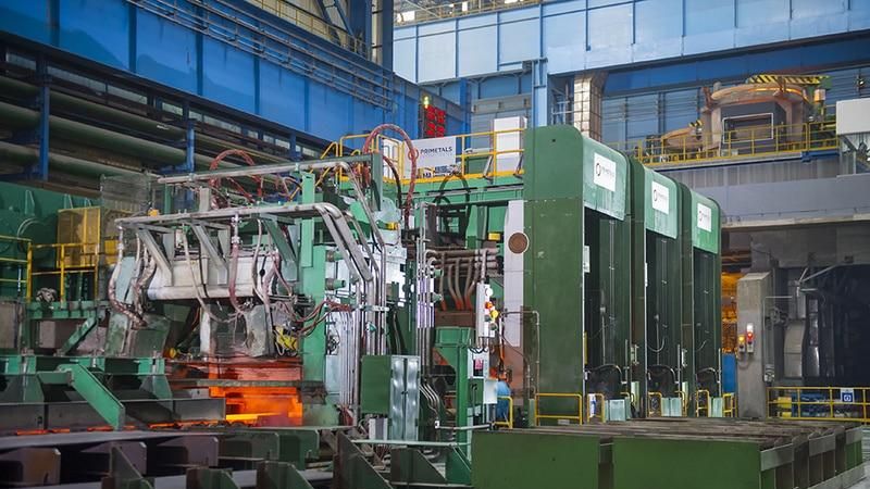 Imagen de una de las plantas de Hydnum Steel.