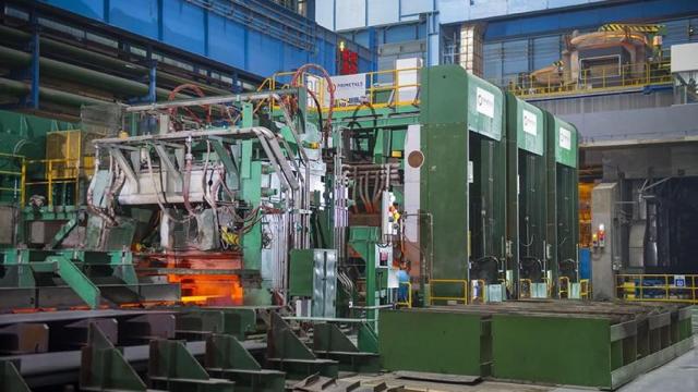 Imagen de una de las plantas de Hydnum Steel.