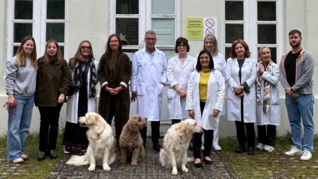 Perros de terapia llegan al Hospital de Oza, en A Coruña, para apoyar a pacientes con enfermedad mental