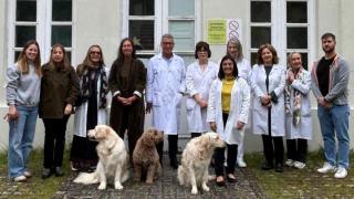 Perros de terapia llegan al Hospital de Oza, en A Coruña, para apoyar a pacientes con enfermedad mental