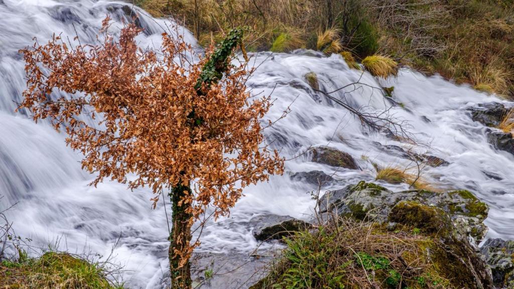 Cascada de Brañas en Toques
