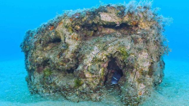 El grupo GAM – Applied Mechanics and Advanced Manufacturing de IQS lidera, desde 2021, una línea de investigación clave en el desarrollo de nuevos materiales sostenibles.