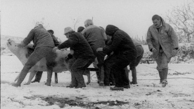 Fotograma de Deuses de Pedra, de Iván Castiñeiras.