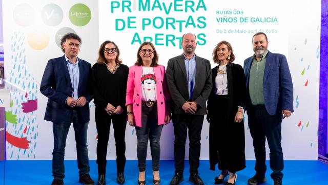 Paisaje de viñedos en la Ribeira Sacra.