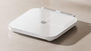 La báscula Xiaomi Body Composition Scale S800.