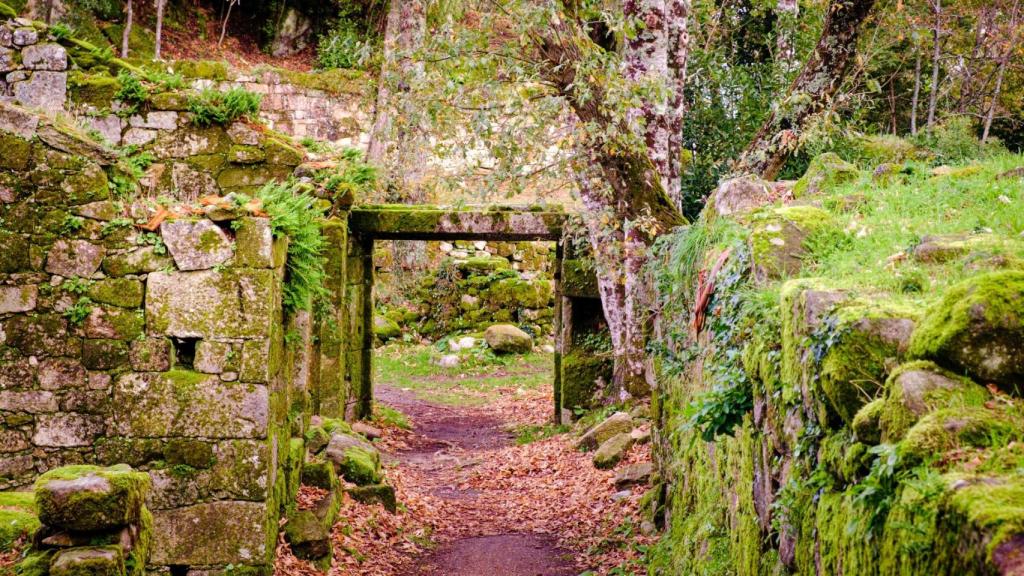 Monasterio de Sanfins