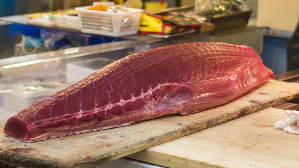 Filetes de atún fresco expuestos en una pescadería.