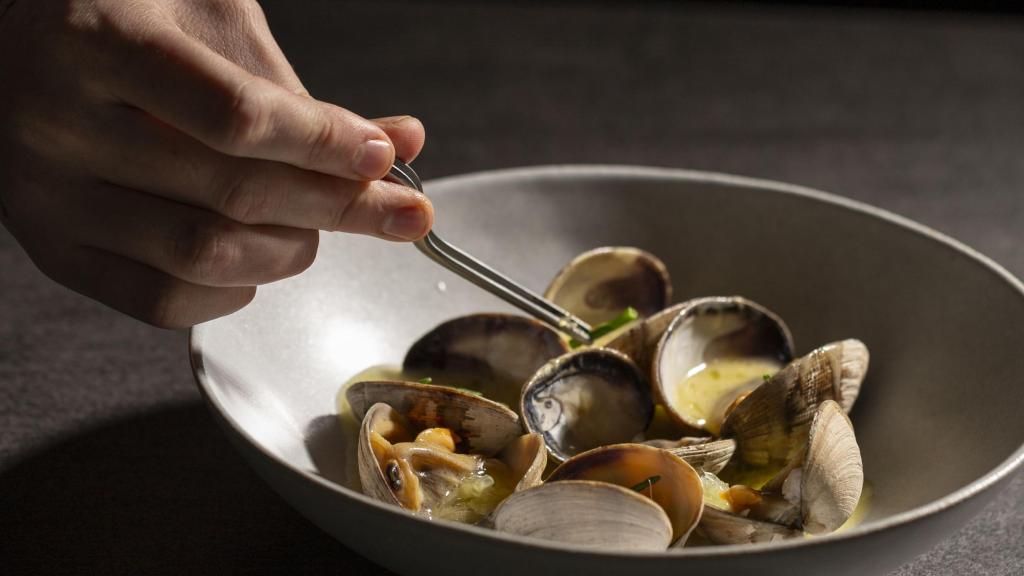 Las almejas gallegas.