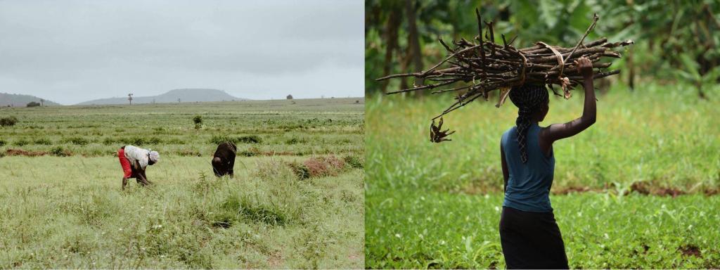 Individuos labrando en el campo.