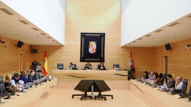Imagen de la comisión que se ha celebrado en la mañana de este jueves en las Cortes