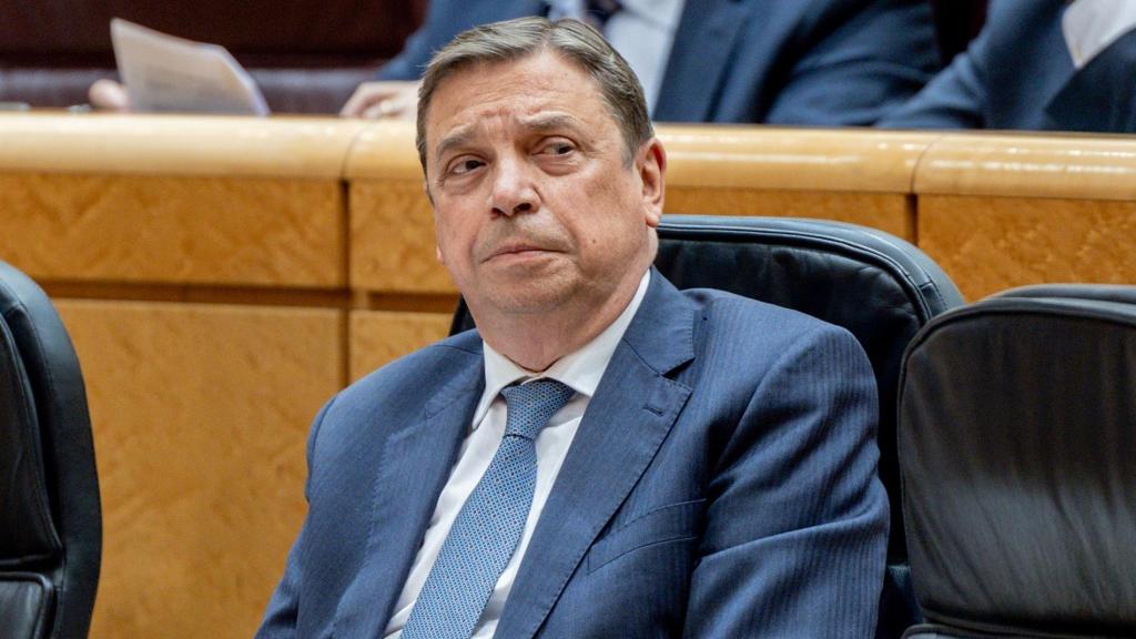 El ministro de Agricultura, Pesca y Alimentación, Luis Planas.